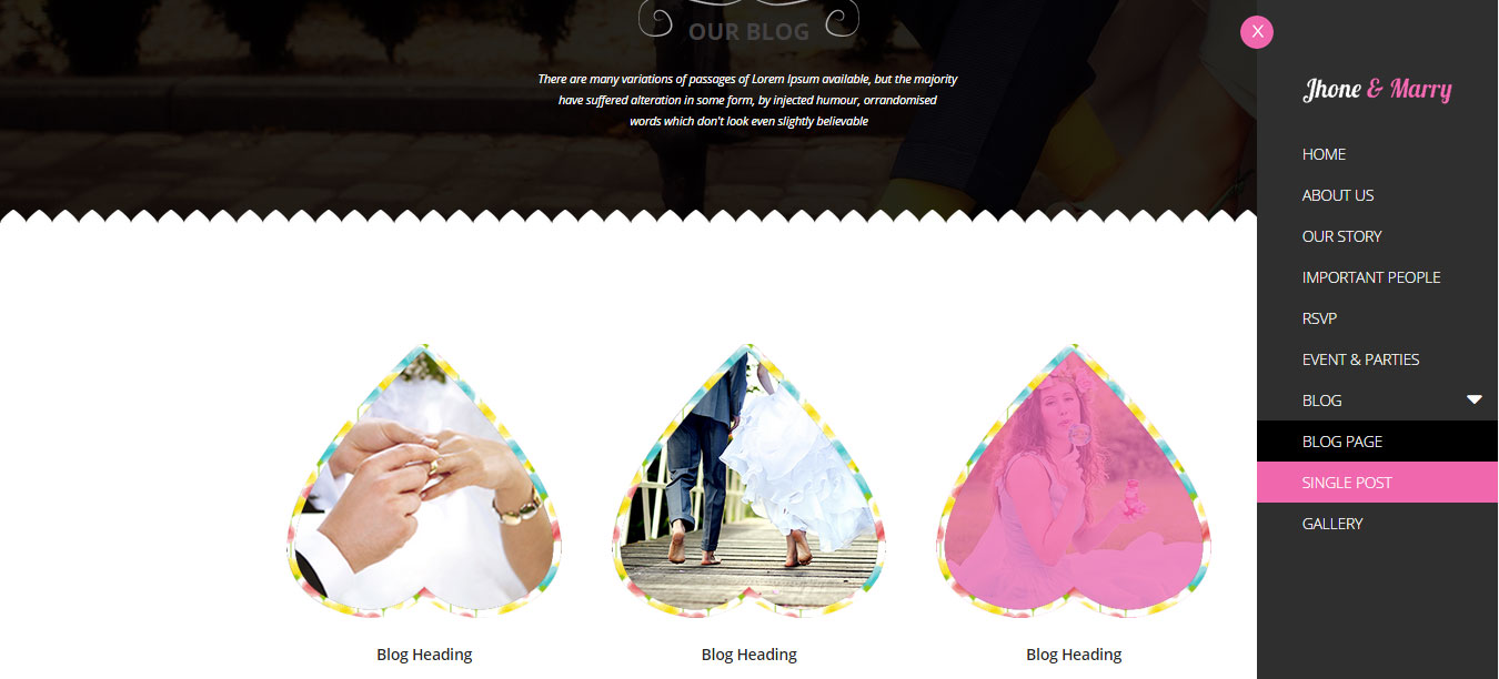 orchid Blog version Two